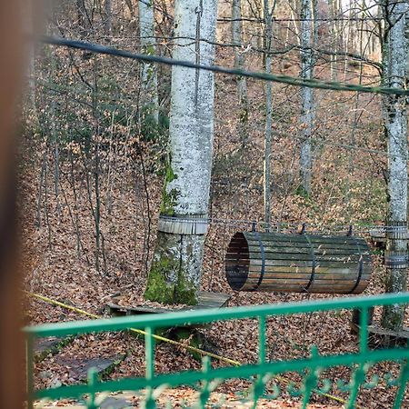Szandy Sovata Esterno foto